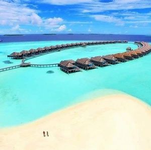 Meet your Posher, Francine